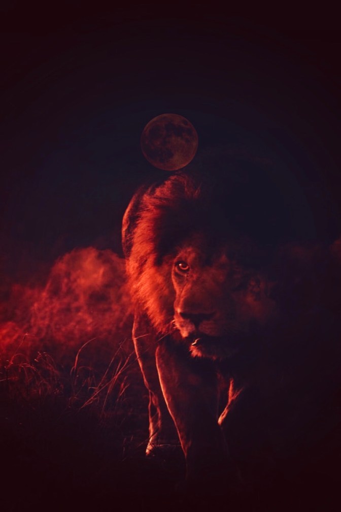 CF13730A-2417-4613-BF92-E6A92EFC70EB